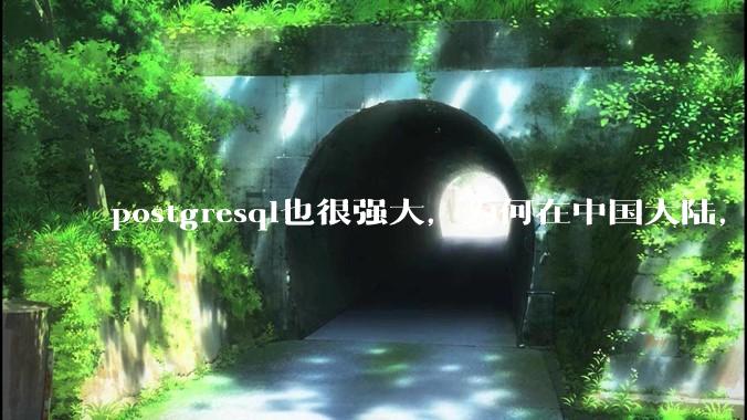 postgresql也很强大，为何在中国大陆，mysql成为主流，postgresql屈居二线呢？