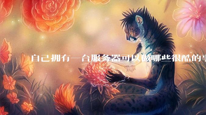自己拥有一台服务器可以做哪些很酷的事情？