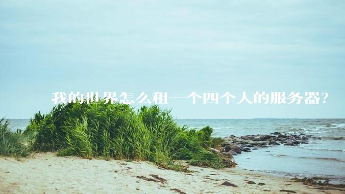 我的世界怎么租一个四个人的服务器？